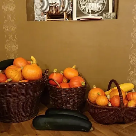 Guest house Chata Kovarna